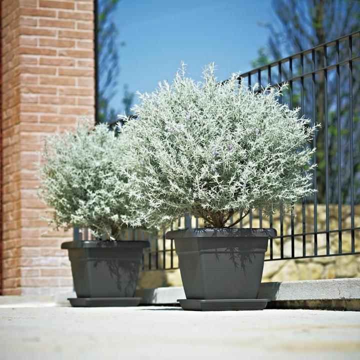 Productafbeelding Euro3plast Planter (39 cm)