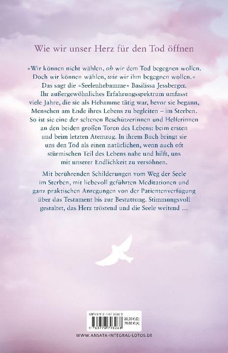 Produktbild Im Sturm lernt das Herz fliegen (Deutsch, Basilissa Jessberger, 2024)