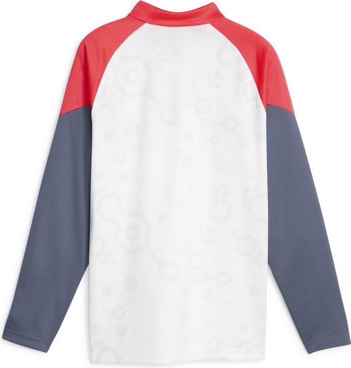 Actual product image Puma individualCUP 1/4 Zip Top Jr (140)