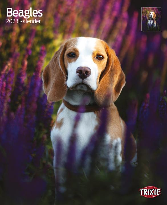 Produktbild Trixie Baby Kalender Beagles