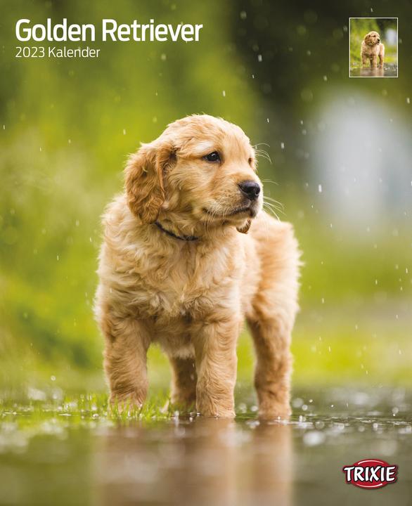 Actual product image Trixie Baby Calendar Golden Retriever