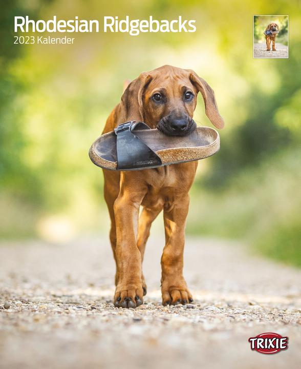 Produktbild Trixie Baby Kalender Rhodesian Ridgebacks