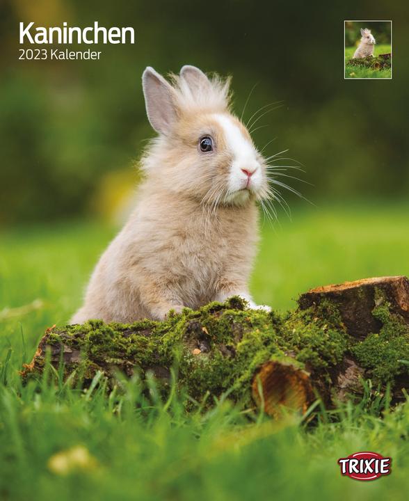 Immagine prodotto Trixie Baby Calendario conigli