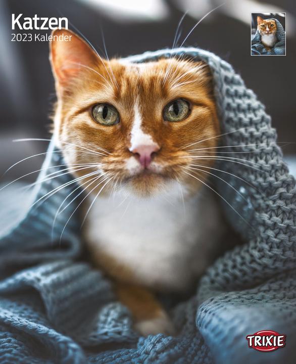 Produktbild Trixie Baby Kalender Katzen