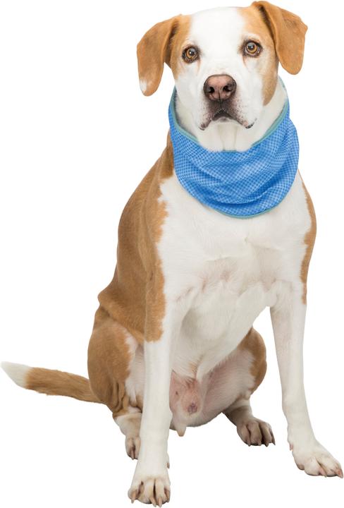 Produktbild Trixie Kühlbandana (XL, Hund)