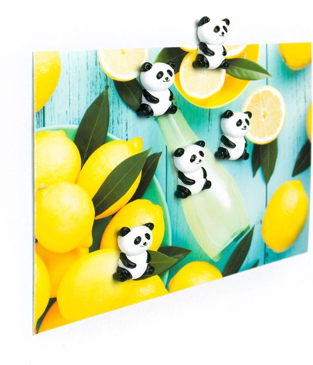 Produktbild Trendform Panda (5 x)