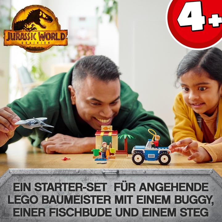 Actual product image LEGO Jurassic 76943 Pteranodon Hunt (76943, LEGO Jurassic World)