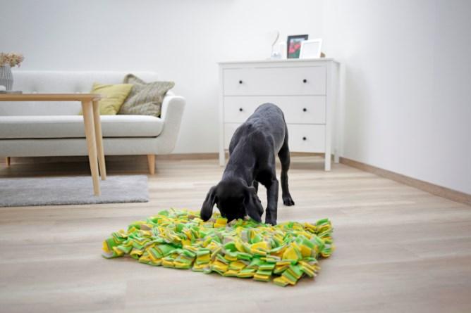Produktbild Kerbl Schnüffelteppich (Intelligenzspielzeug Hund)