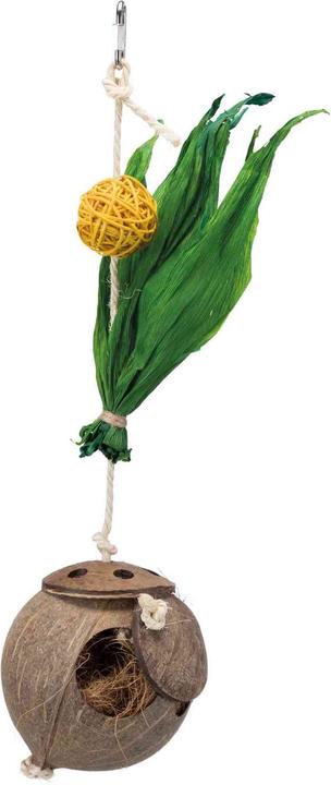 Trixie Coconut on sisal rope