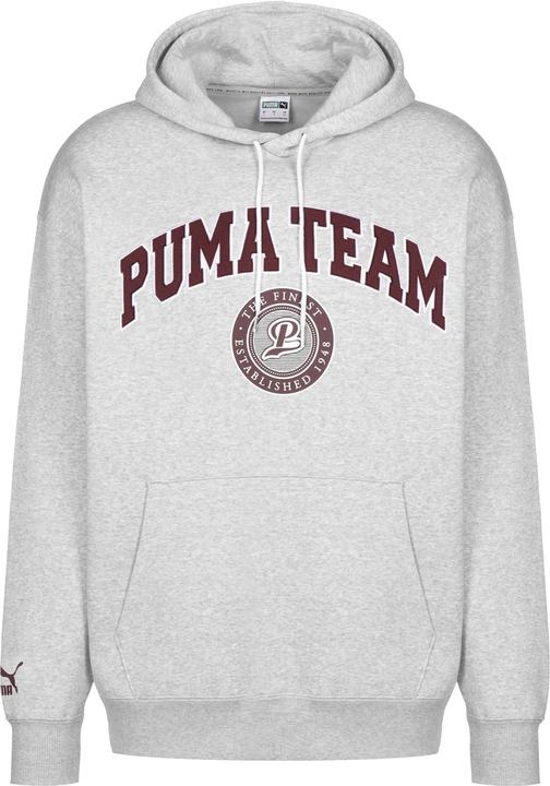 Puma Team Hoodie FL (S)