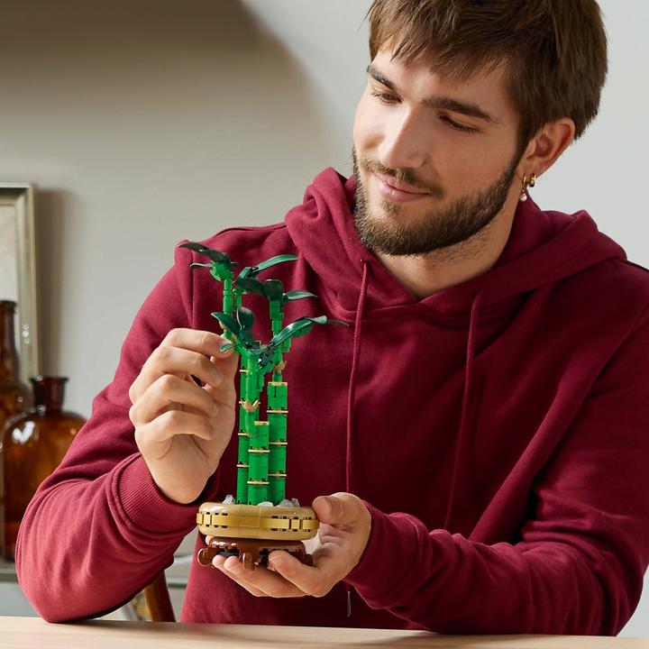 Productafbeelding LEGO Glücks-Bambus (10344, LEGO Icons)