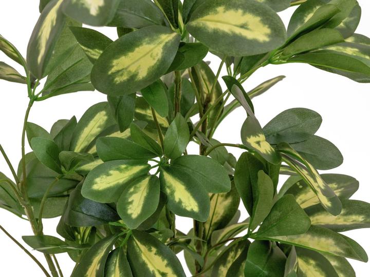Produktbild Europalms Schefflera, künstlich, 90cm