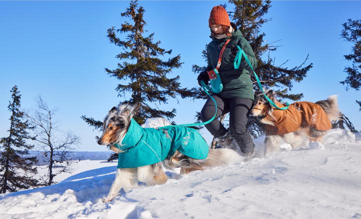 Actual product image Hurtta Monsoon V2 Eco green mackintosh, 60 cm (60, Dog raincoat)