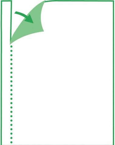 Produktbild Sigel Rapporte/Regieberichte (100 x)