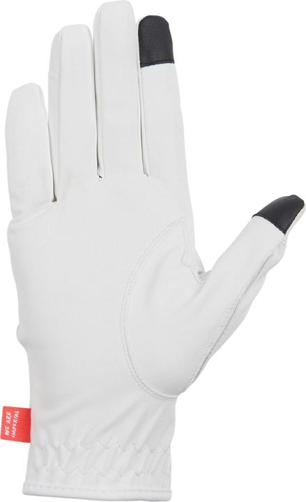 Actual product image Imperial Riding The Basics (XL)