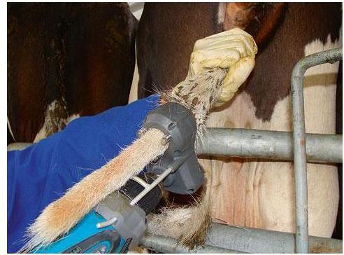 Image du produit Magni Kerbl Tail Trimmer Tailwell II