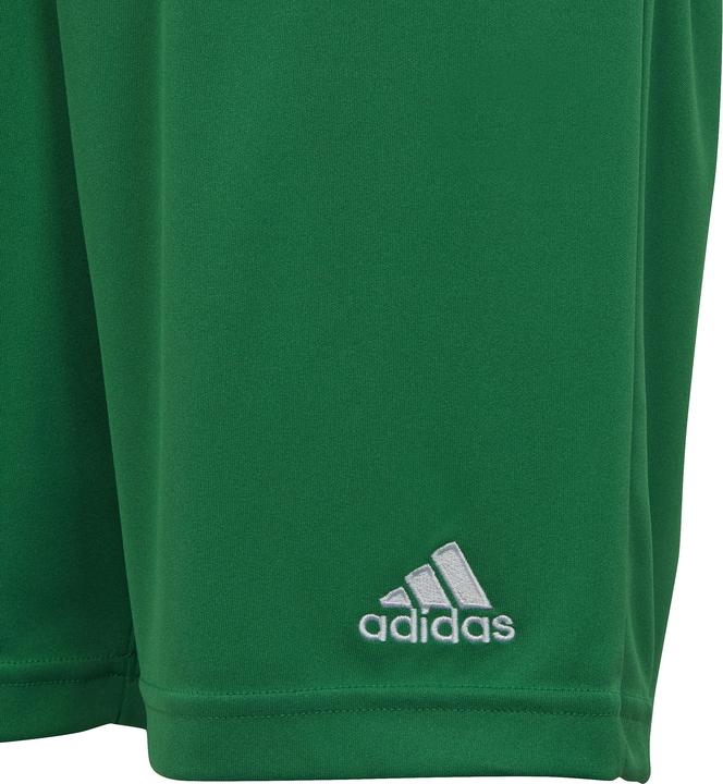 Actual product image adidas Children's shorts Entrada 22 green IC7410 (164cm) (164)