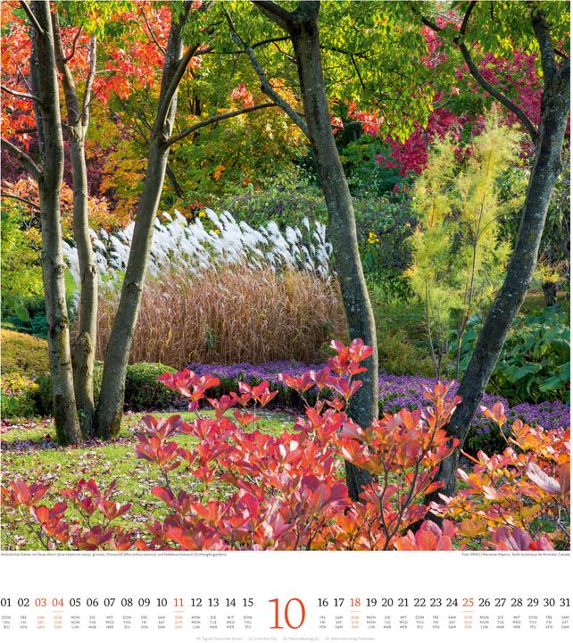 Produktbild Paradiesische Gärten Kalender 2026 (48 x 54 cm, Englisch, Deutsch, Französisch)