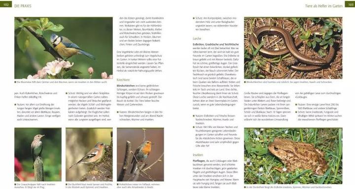 Produktbild Der Biogarten (Deutsch, Marie-Luise Kreuter, 2019)