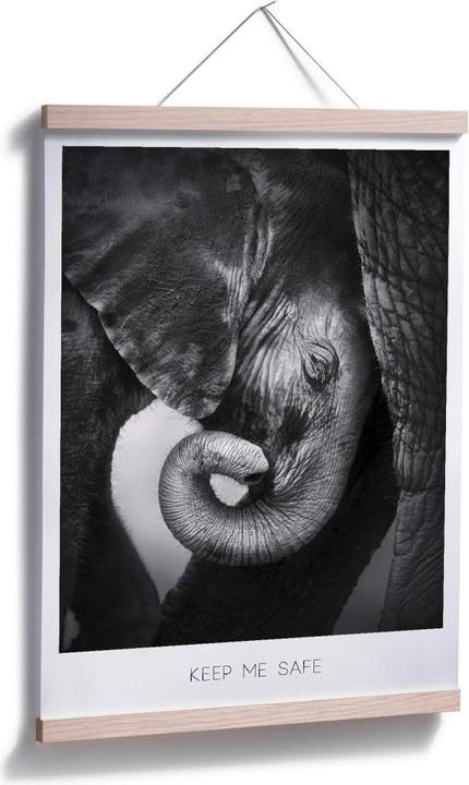 Produktbild Trenddeko Das Elefantenbaby - Keep me safe (100 x 120 cm)