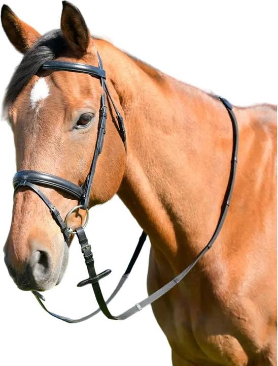 Kincade Classic Raised Flash Leather Plain Horse Bridle With Reins