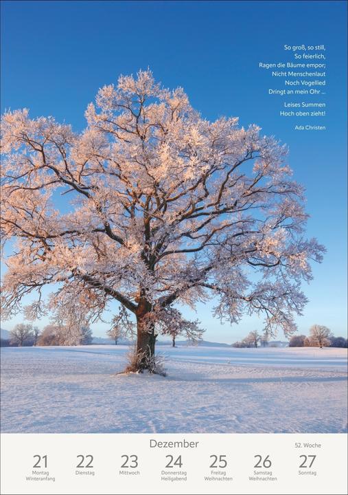 Produktbild Harenberg Literaturkalender Natur Wochen-Kulturkalender 2026 (Harter Einband, Deutsch)