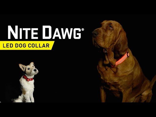 Produktbild Nite Ize Nitedawg LED (L, Hund, Jogging, Spazieren)