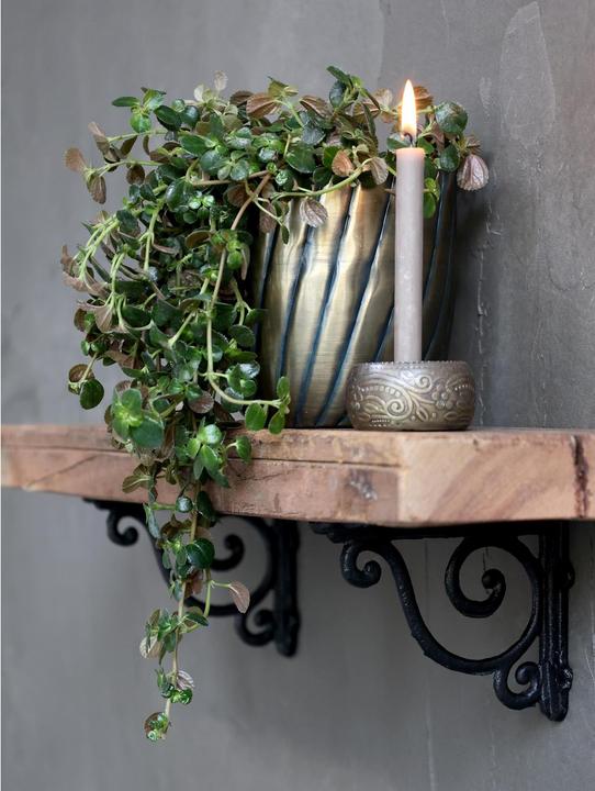 Immagine prodotto Chic Antique Regalträger