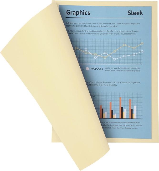 Produktbild Exacompta Sammelmappen - Aktendeckel (A4, 100 x)