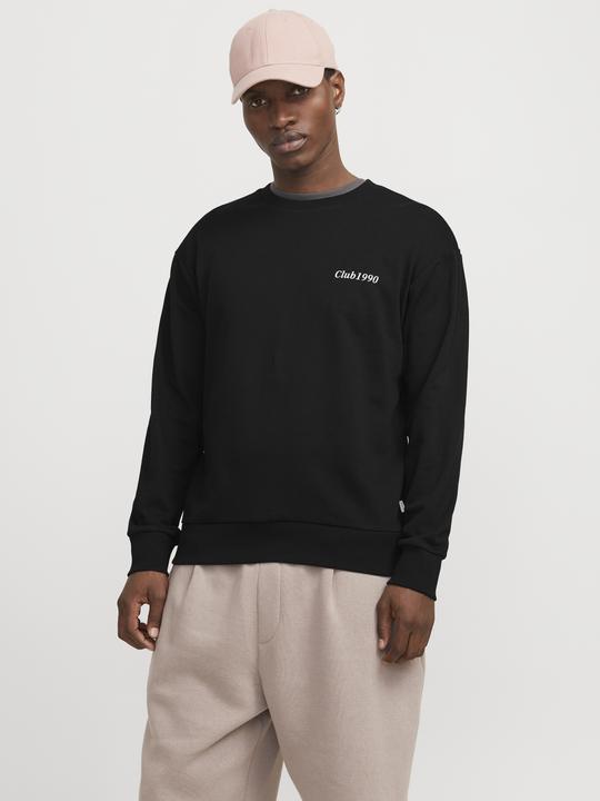Actual product image Jack & Jones Jjebradley Graphic Sweat Crew Noos (L)