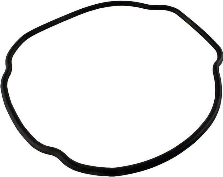 Actual product image Hayward Tristar pump body seal no. 14 REF SPX3200T