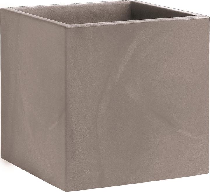 Giarnaldo Momus Cubo (50 cm)