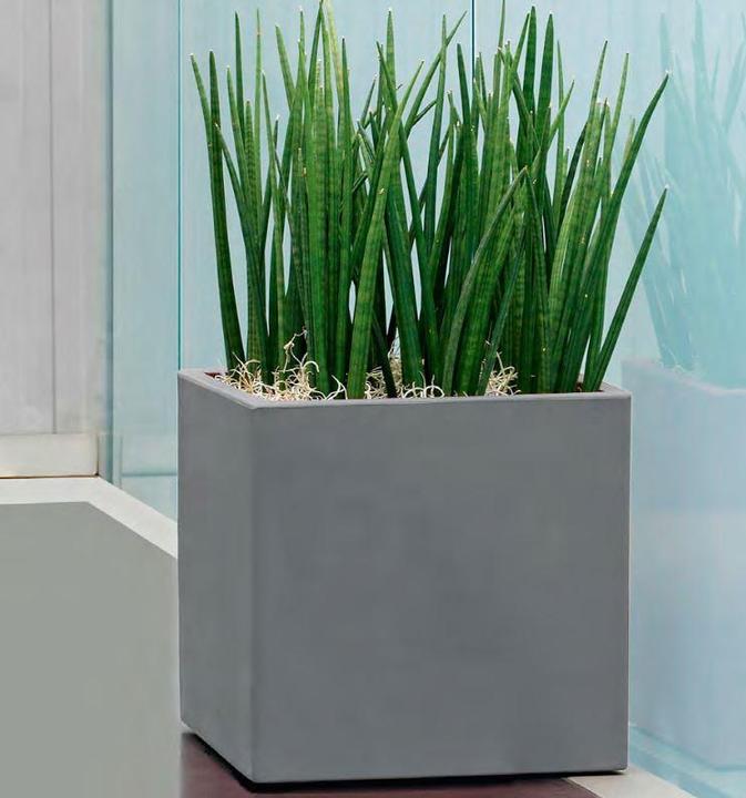 Actual product image Giarnaldo Momus Cubo (50 cm)