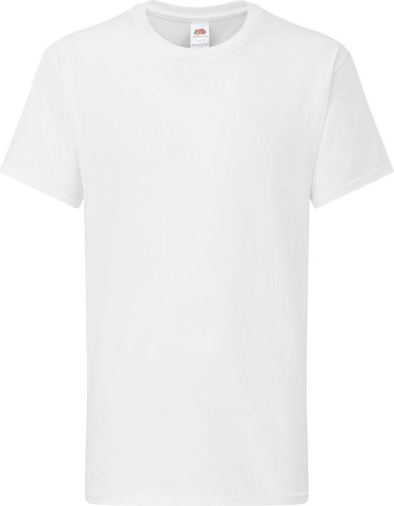 Fruit of the Loom Iconic 195 Premium TShirt