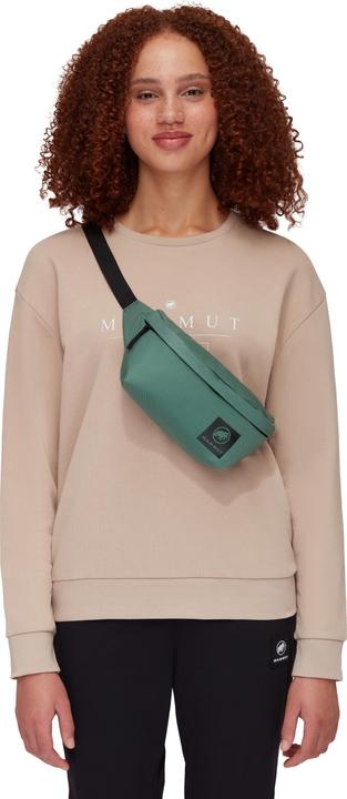 Image du produit Mammut Xeron Classic Waistpack