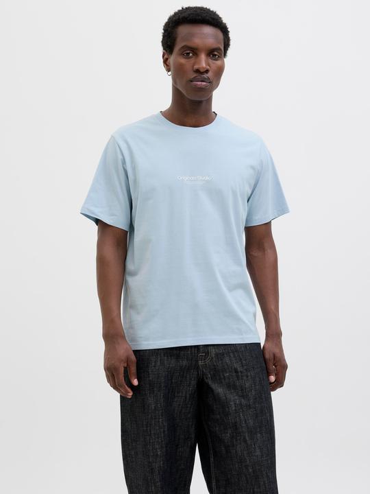 Actual product image Jack & Jones Jorvesterbro Tee Ss Crew Neck Noos (XXL)