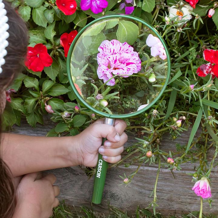 Actual product image Carson Hand magnifier