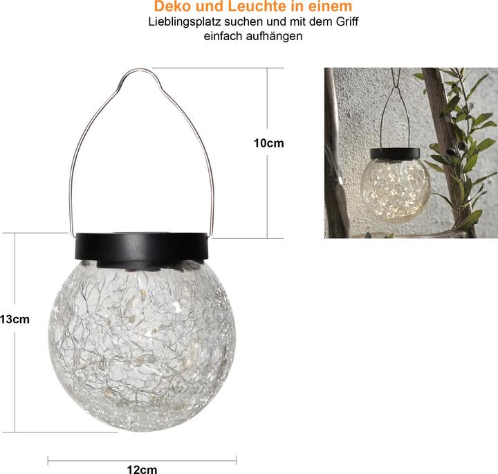 Immagine prodotto Star Trading Glory (14 x 13 x 13 cm, 1 x)