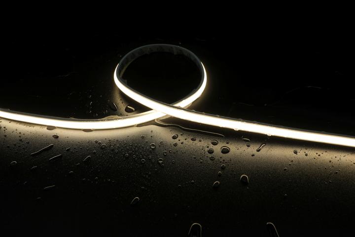 Actual product image Synergy 21 LED Flex Strip SPOTLESS FC WW DC24V 60W IP67 (Warm white, 500 cm)