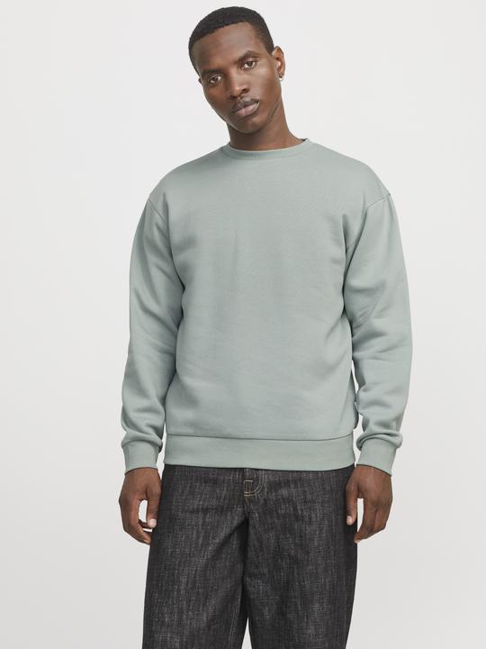 Produktbild Jack & Jones Jjebradley Sweat Crew Noos (L)