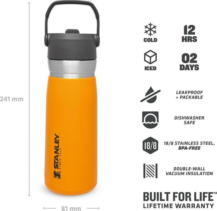 Actual product image Stanley 1913 IceFlow (0.65 l)