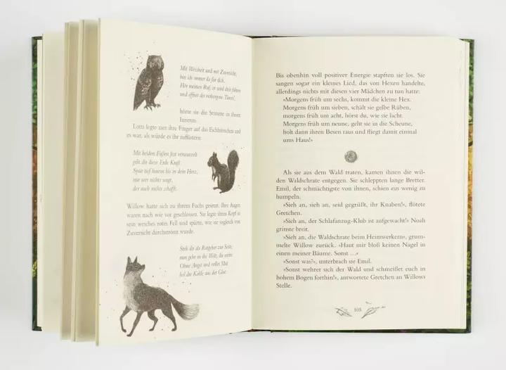 Produktbild Planet Ein Mädchen namens Willow 2: Waldgeflüster (Deutsch, Simona Ceccarelli, Sabine Bohlmann, 2021)