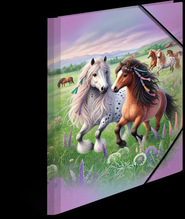 Actual product image HERMA A4 motif folder (A4, 1 x)