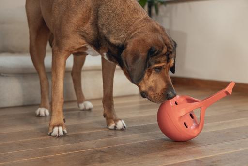 Actual product image Beeztees Rubber dog toy Wiggle-X (Dog chew toy)
