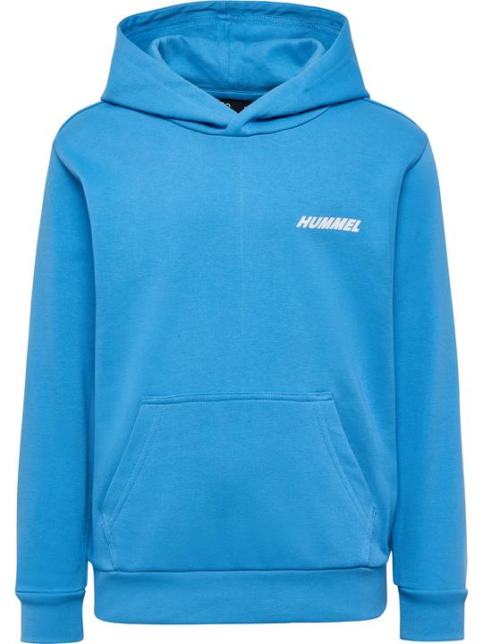 Actual product image hummel hmlCASPER HOODIE (110)