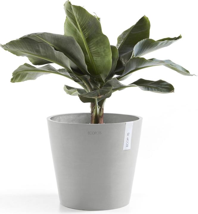 Actual product image Ecopots Amsterdam + Wasserbehälter (40 cm)