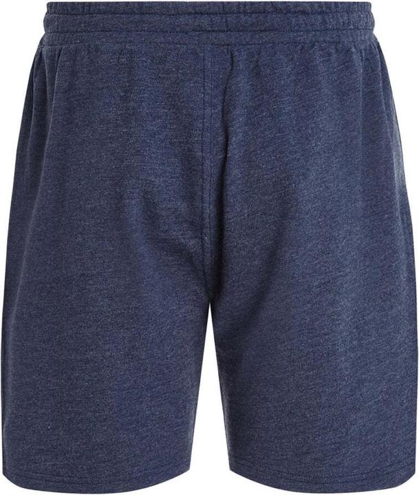 Actual product image Protest Jogging Shorts Prtrolan Jr (140)