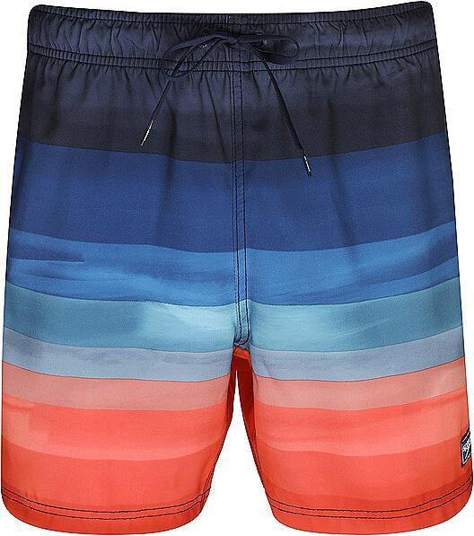 Speedo SNA Print Volley 17" Watershorts