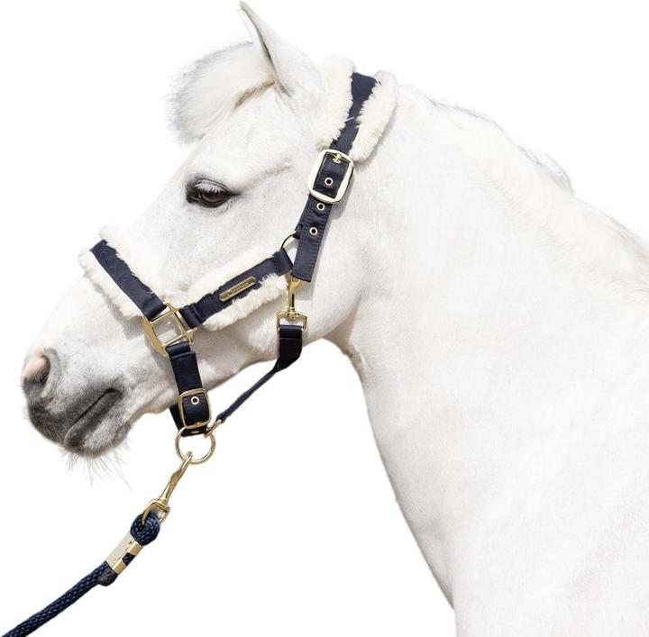 Immagine prodotto Coldstream Langlee Luxury Cavezza e Guinzaglio per Cavallo