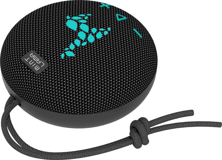 Actual product image Mint Lama Lamabeat 1 (4 h, Rechargeable battery operated)
